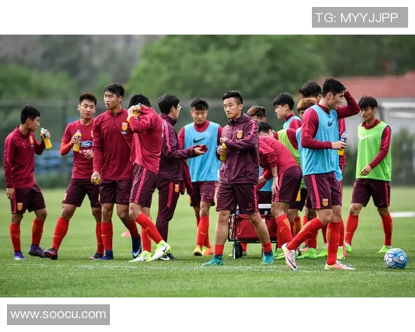 中国足球论坛热议国足未来发展与青训体系改革探讨